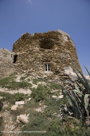 26 07 2008 - Porquerolles Island (FRA,83) - Langoustier fortress