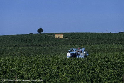 costieres0026.jpg