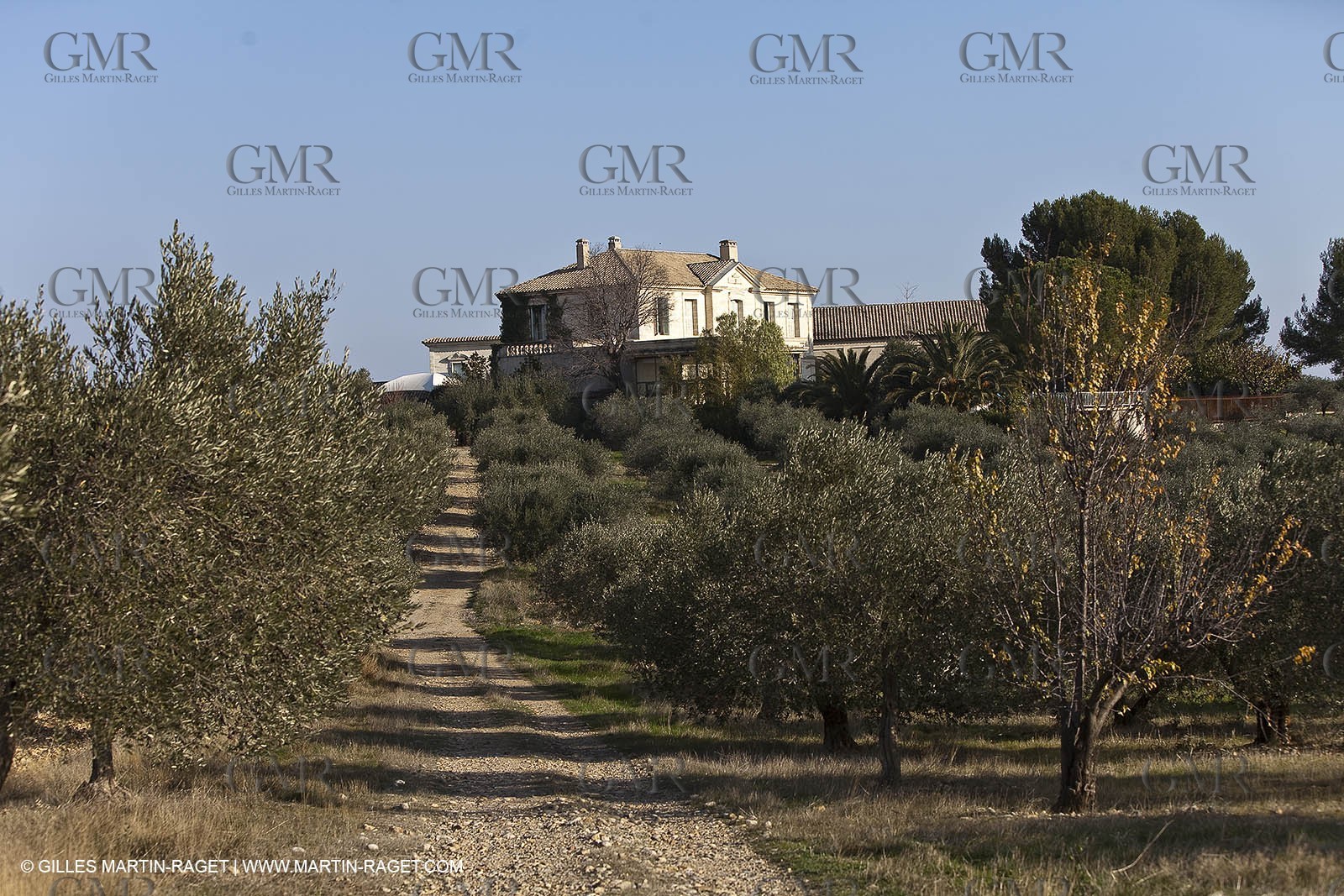 Saint Drézéry (FRA, 34), Domaine de Puech Haut