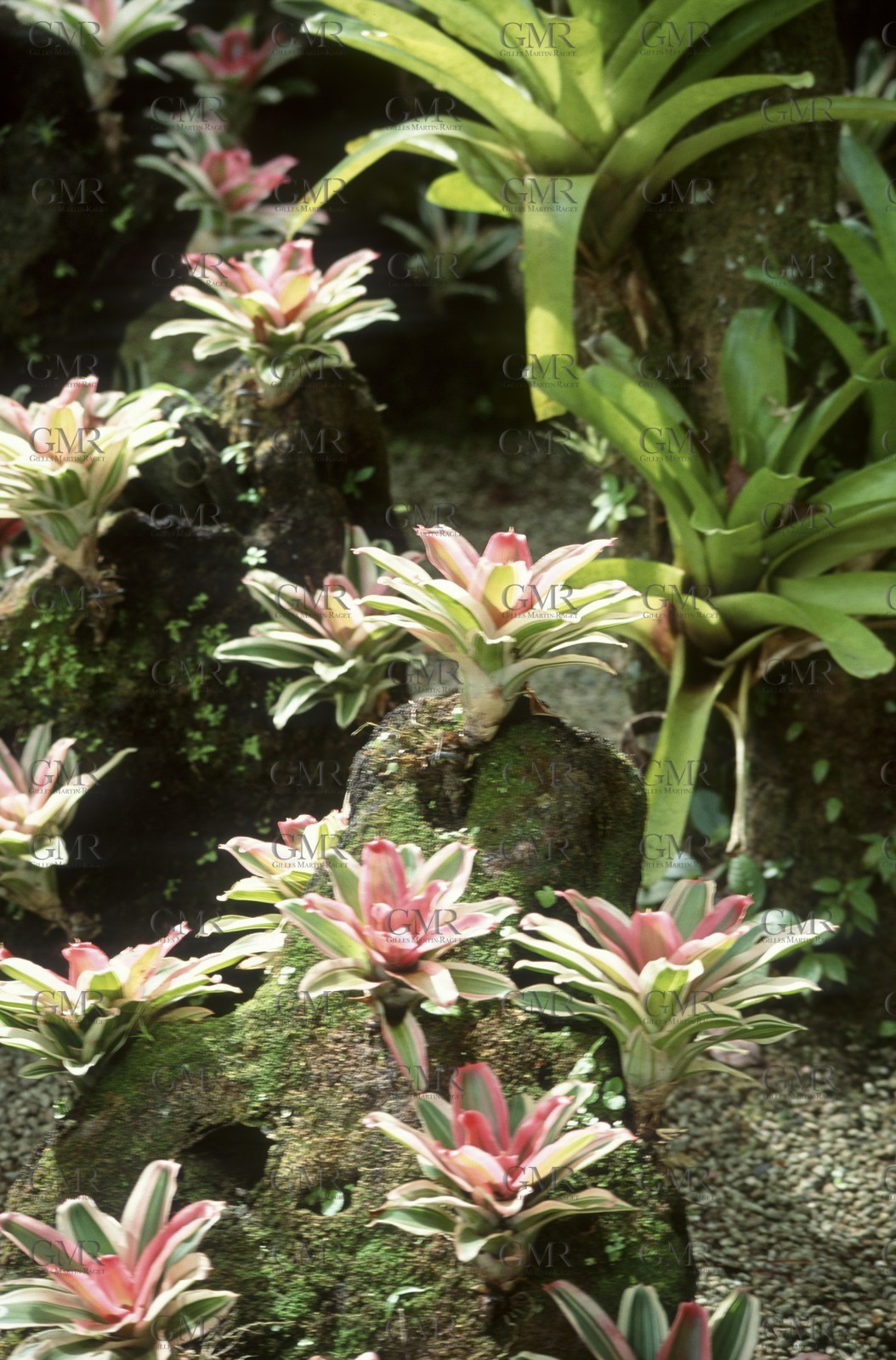 Destinations - Antilles - Saint Barth