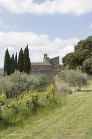 11 05 2018, Lacoste (FRA,84), Abbaye Saint-Hilaire