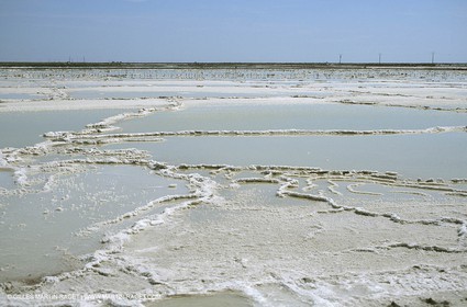 Image2_001.jpg