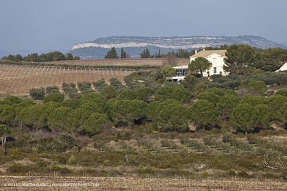 Saint Drézéry (FRA, 34), Domaine de Puech Haut
