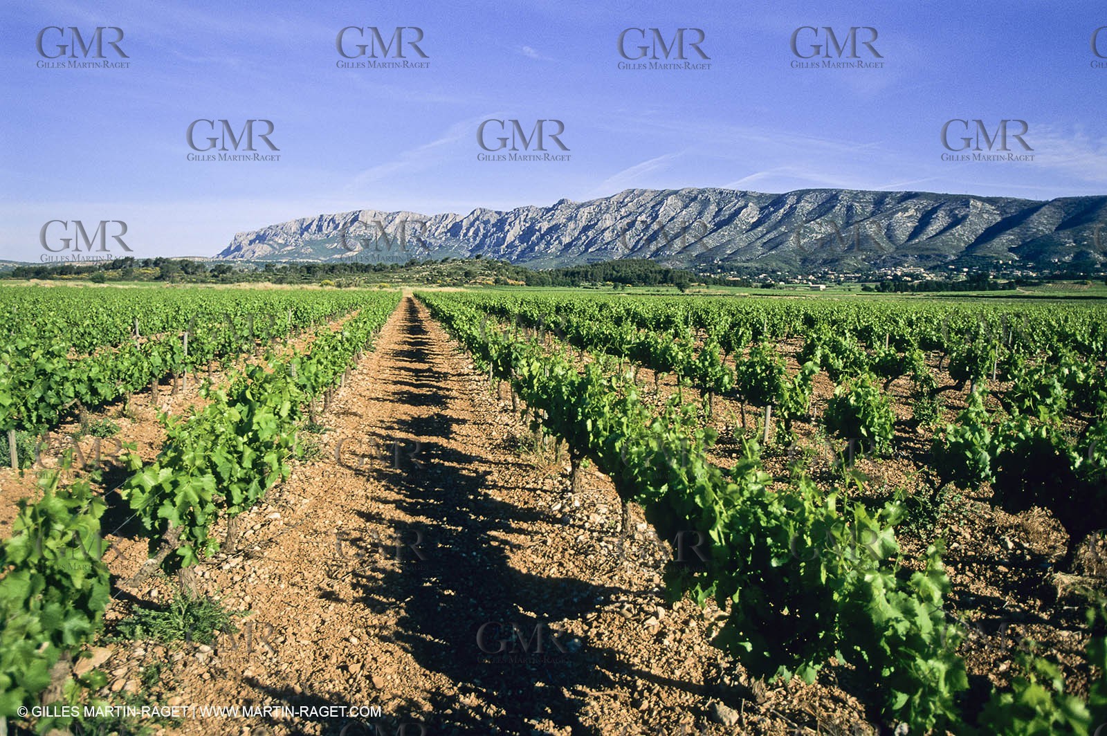 Aix en Provence area - Sainte Victoire mountain