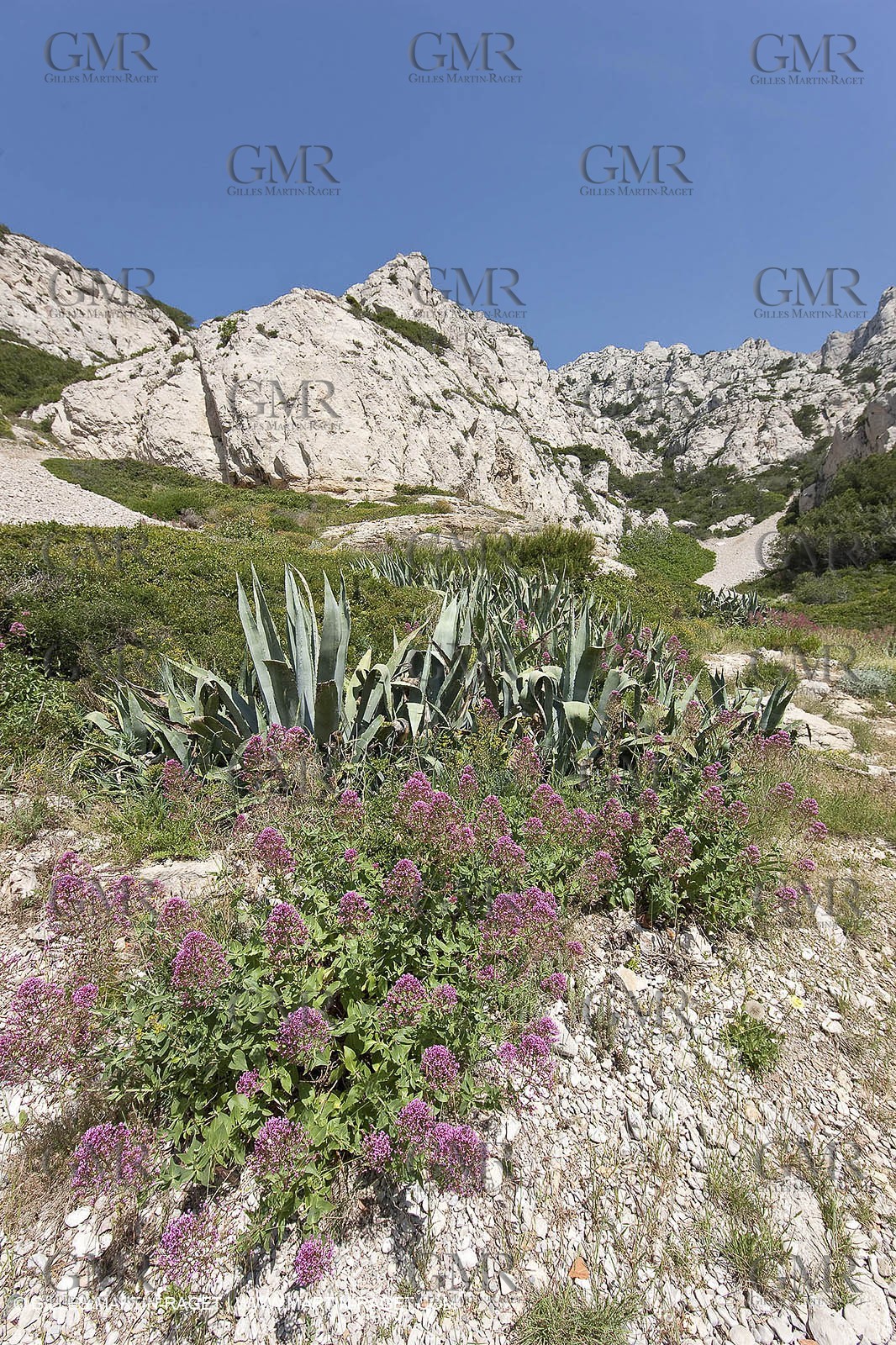20 05 2009 - Marseille (FRA, 13) - Les Calanques - Calanque du Podestat