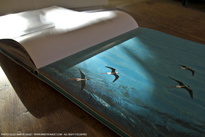 09 11 2010 - Marseille (FRA,13) - Photos du livre Calanques, si proches, si lointaines, Ed. Cres, Texte Juliette Lembot, Photos Gilles Martin-Raget