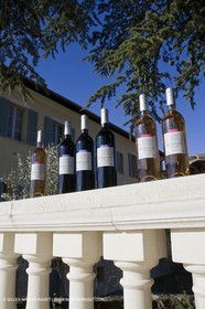 domlac_0282.jpg