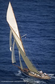 Tuiga