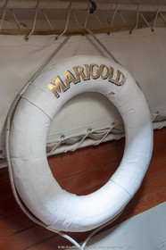 29 03 2019, Barcelona (Spain), Marigold