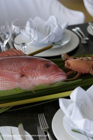 01 02 2008 - San Blas Archipelago (Panama) - Motor Yacht Senses