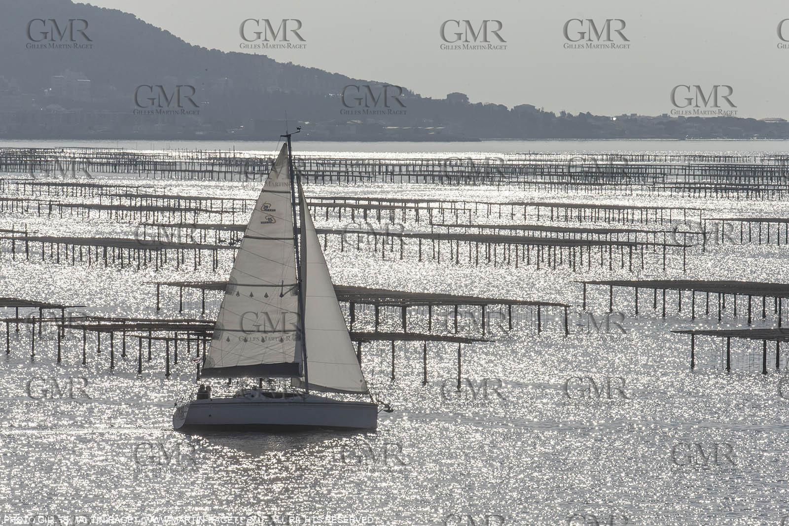 28 01 2016, Sète (FRA,34), Cruising on Thau Basin