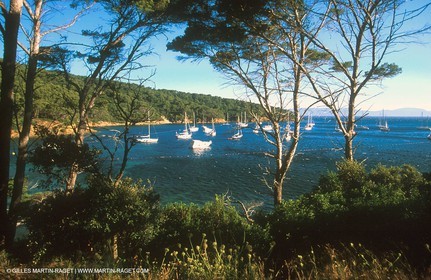 île de Port Cros