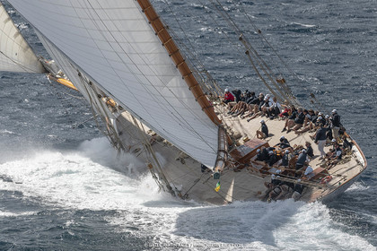 28 09 2022? Saint-Tropez,(FRA,83), Les Voiles de Saint-Tropez 2022 Régate N° 2 poup les modernes, navigation libre pour les grandes goélettes