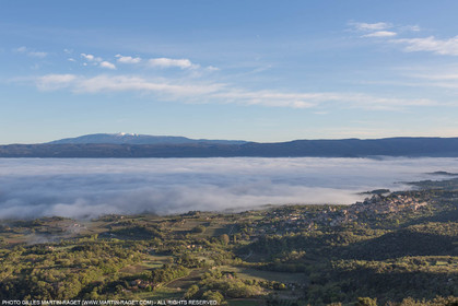 12 04 2016, Parc National du Luberon (FRA, 84)