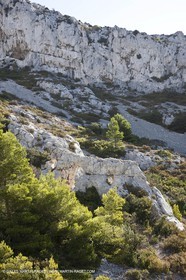07 09 2009 - Marseille (FRA, 13) - Les Calanques - Massif de Marseilleveyre - Grand Malvallon