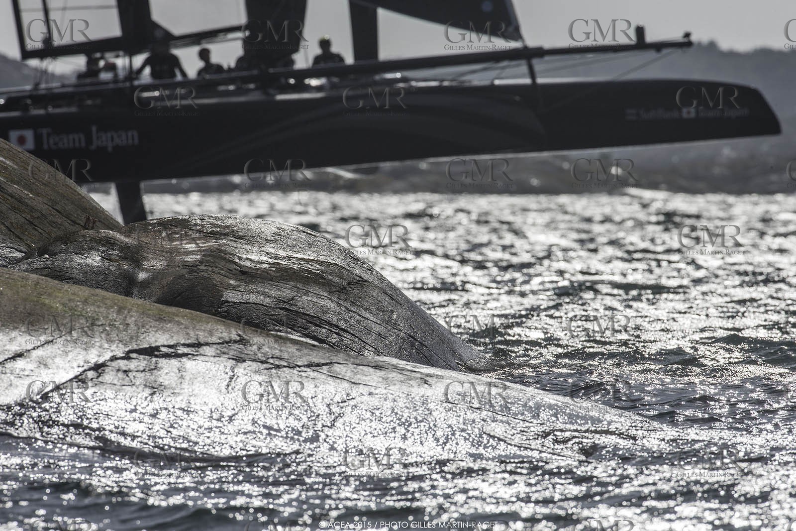 27 08 2015, Göthenburg, (SWE), 35th America's Cup, Louis Vuitton America's Cup World Series Göthenburg 2015, Tech Day,