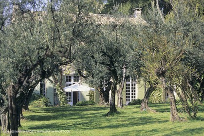 France, Provence, paysage des Alpilles, Alpilles landscapes