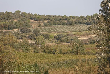 25 09 2009 - Sernhac (FRA,30)