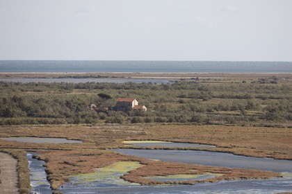03 10 2008 - Fos   mer (FRA, 13) - L'Hydroptère - Tentative de record de vitesse