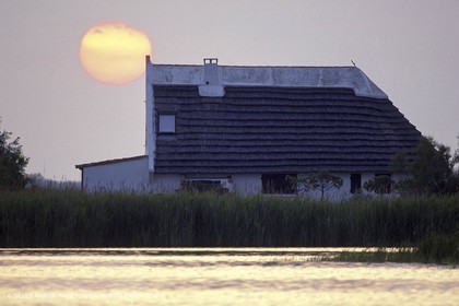Camargue (FRA,13) - Cabane de gardian