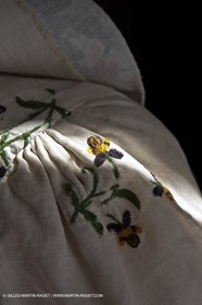 30 06 2011 - Toulon (FRA,83) - Villa Rosemaine - Exposition Indiennes sublimes