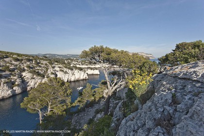 06 05 2009 - Marseille (FRA, 13) - Les Calanques - On Castelviel plateau