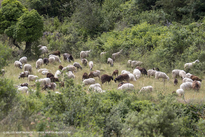 10 06 2018, Sivergues (FRA,84)