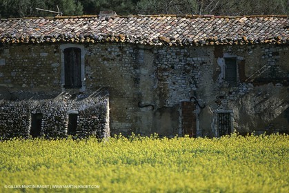 France, Provence, Paysages du Luberon, Luberon Landscapes