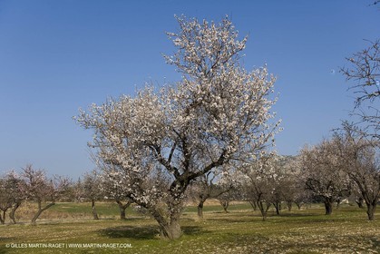 16 02 2008 - Les Baux de Provence (FRA, 13) - Alpilles hills landscapes