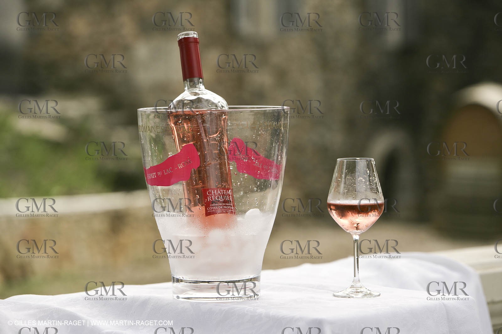 28 02 2008 - Cabasse (FRA, 83) - Domaine du Lac vines