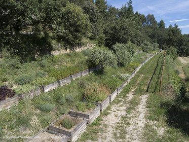 22 06 2018, Ménerbes (FRA,84), Domaine de la Citadelle