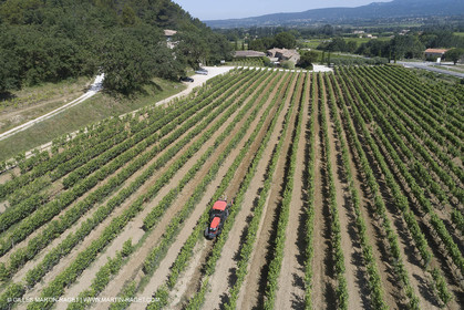 22 06 2018, Ménerbes (FRA,84), Domaine de la Citadelle