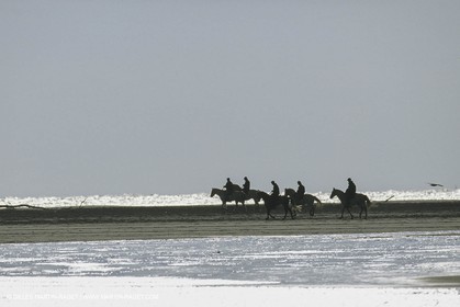 France, Provence, Gardians de Camargue