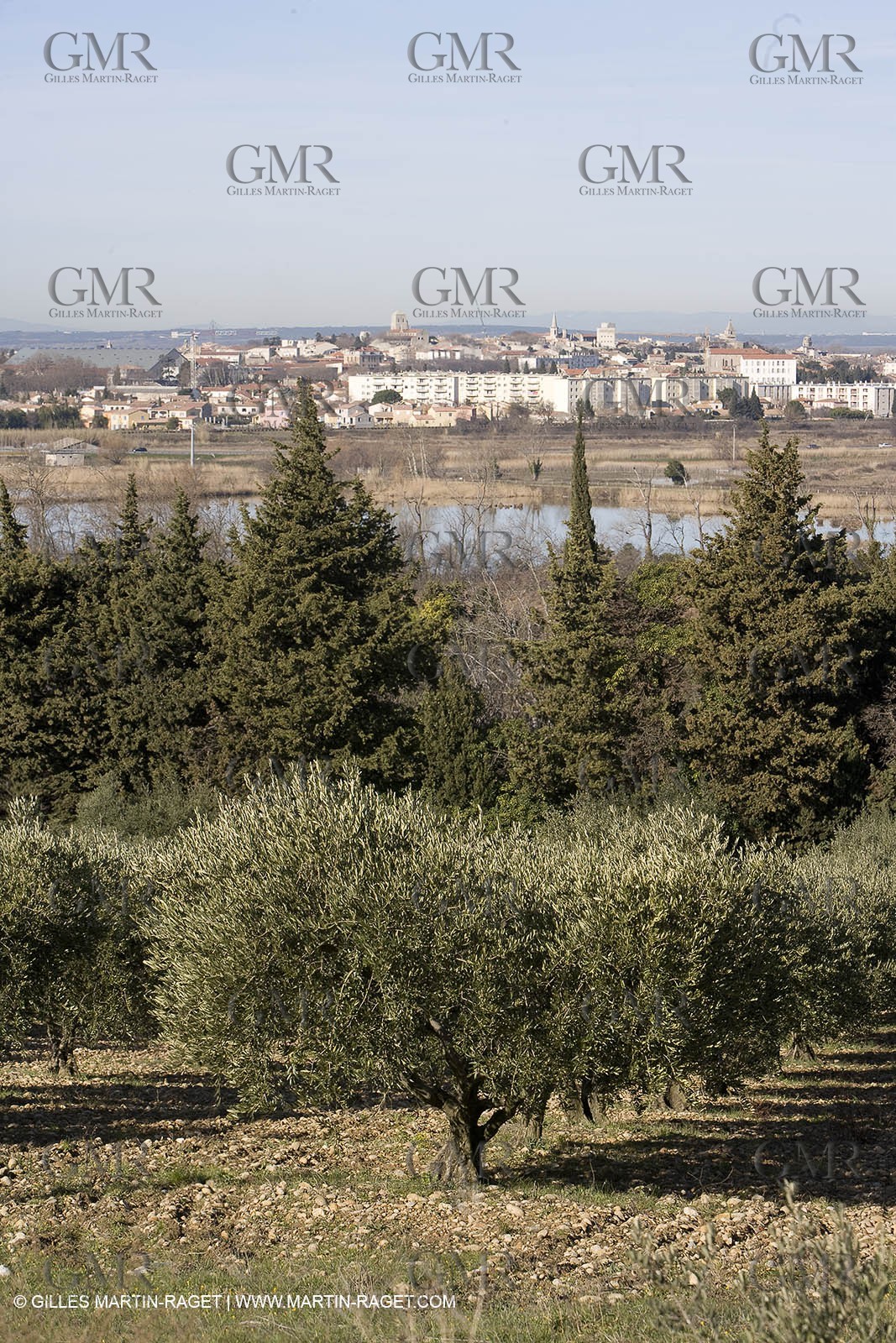 05 02 2008 - Arles (FRA, 13) - Arles surroundings landscapes