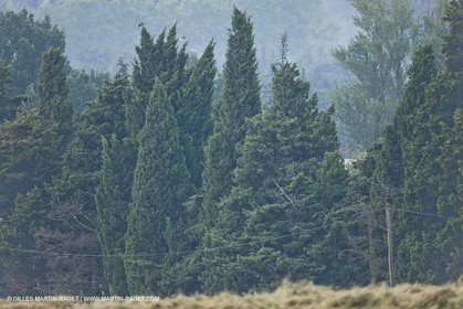June 24th 2008 - Saint Rémy de Provence (FRA,13) - Alpilles hills landscapes