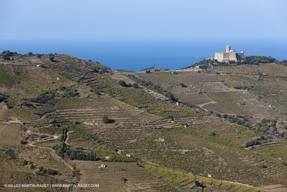 17 10 2011 - Côte Vermeille (FRA, 66) - Vgnobles des Corbières
