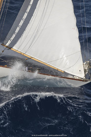 18VSTD5_7925.jpg