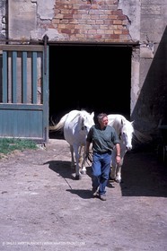 Arles - Camargue gardians (cow boys) at work