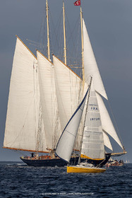 VST21D0_1581.jpg