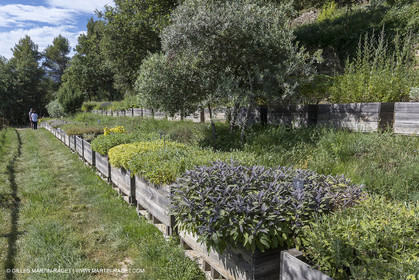22 06 2018, Ménerbes (FRA,84), Domaine de la Citadelle, Jardin Botanique