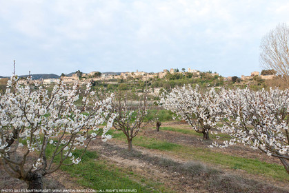 12 04 2016, Parc National du Luberon (FRA, 84), Ménerbes