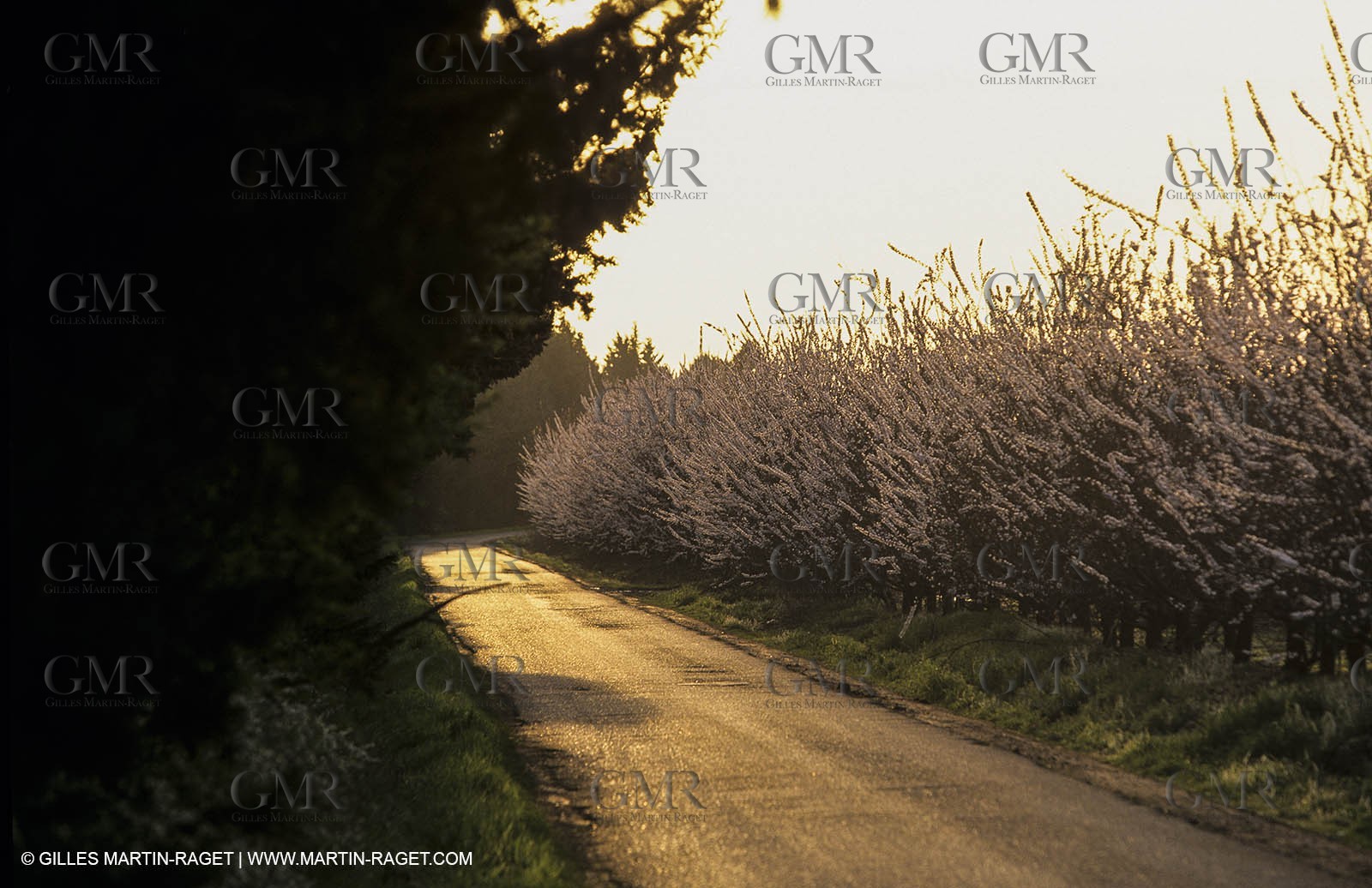 Paysages de Nîmes Métropole (FRA,30) -Costières