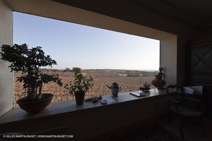 Saint Drézéry (FRA, 34), Domaine de Puech Haut