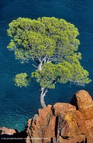 Littoral de l'Esterel (FRA, 06) - Côte d'Azur