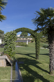 22 06 2018, Saint-Saturnin les Apts (FRA,84), Domaine des Andéols