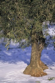 Provence sous la neige - Les Baux de Provence
