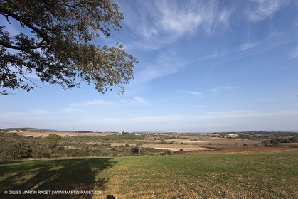 Saint Drézéry (FRA, 34), Domaine de Puech Haut