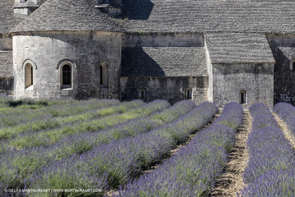 25 06 2018, Gordes (FRA,84), Abbaye de Sénanque