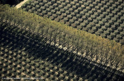 Agriculture near Eguières