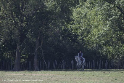 Course de Satin 2014 - Arles (FRA,13) - 1 06 2014**The satin race - Arles (FRA,13) - 01 06 2014